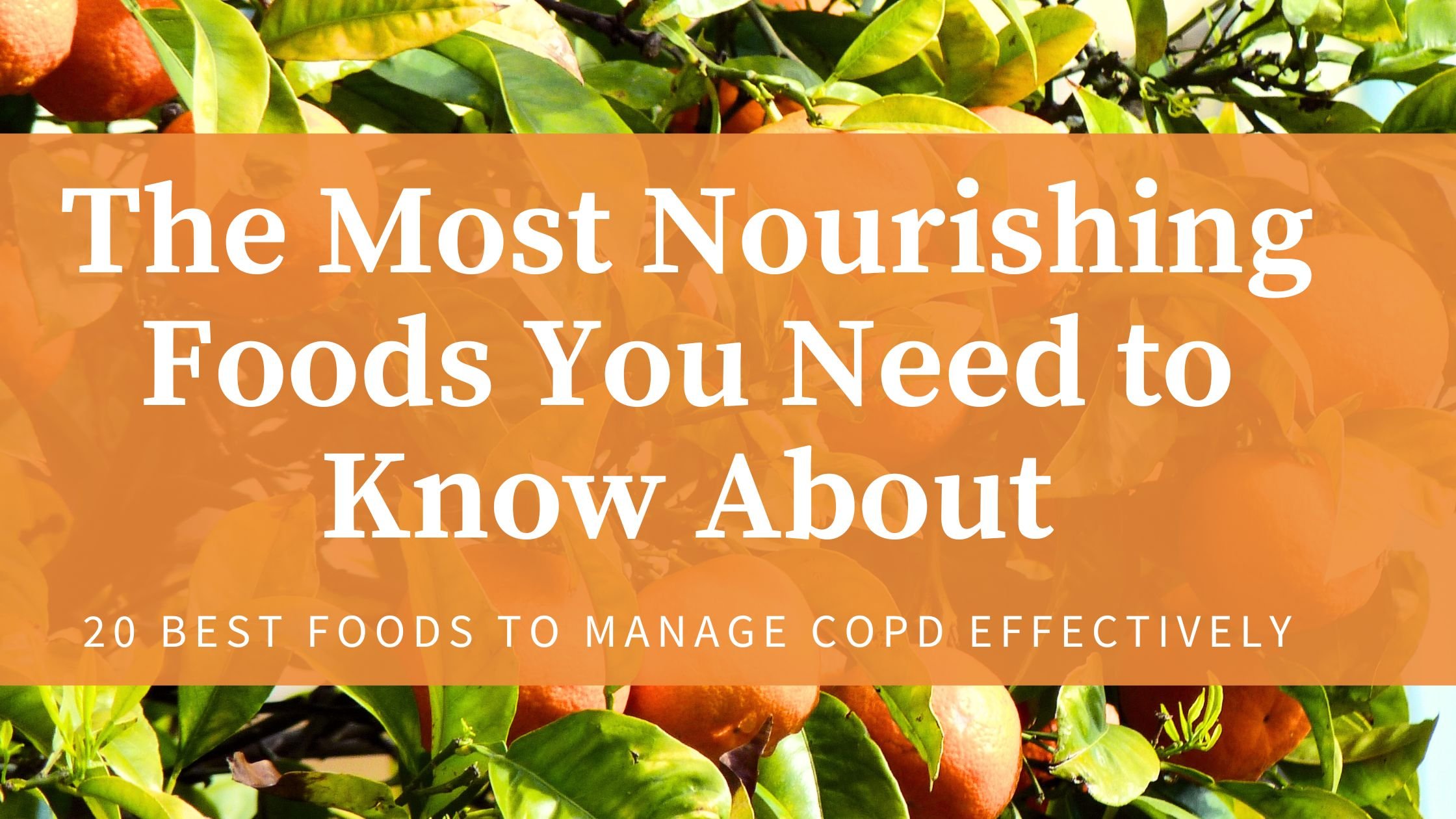 The Most Nourishing Foods You Need To Know About 20 Best Foods To Manage Copd Effectively 6590